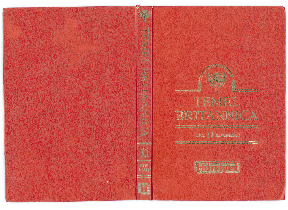http://www.annesophietritschler.com/files/gimgs/18_couverturelivreturcw72.jpg